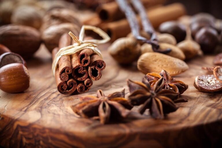 Les épices de Noël : pourquoi leurs arômes symbolisent les fêtes depuis des siècles ?