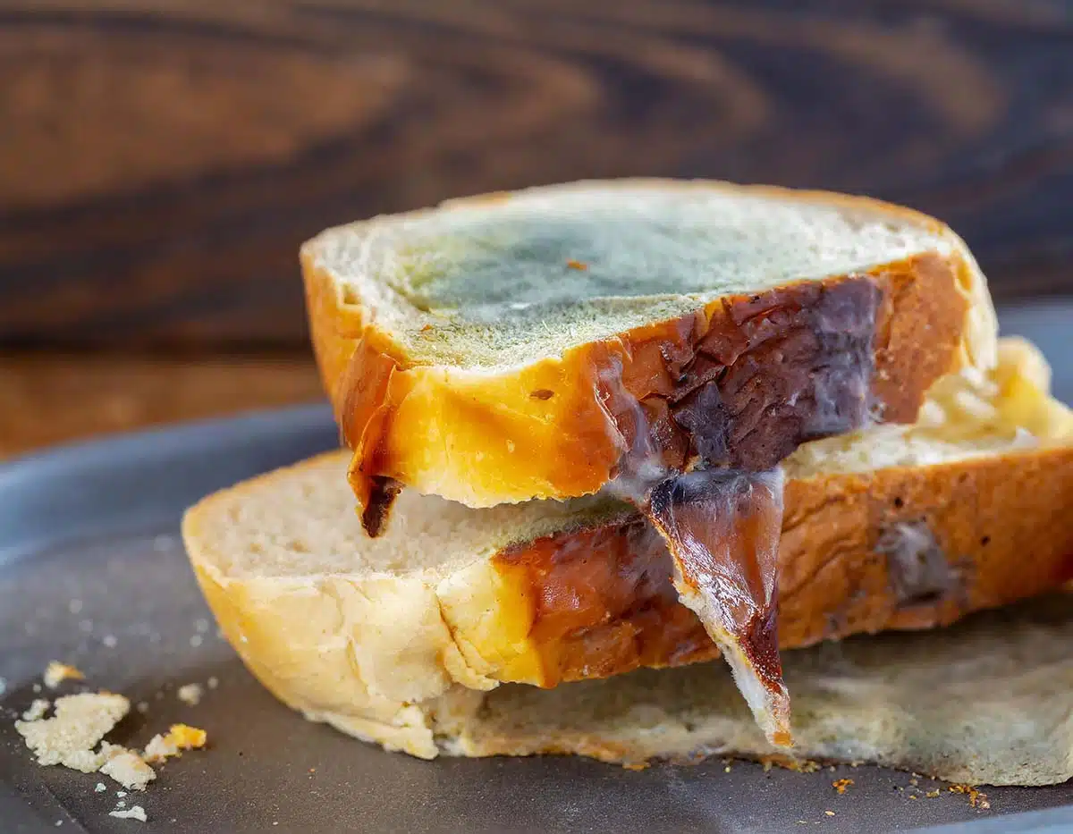 Peut-on manger du pain de mie périmé ? Risques et conservation